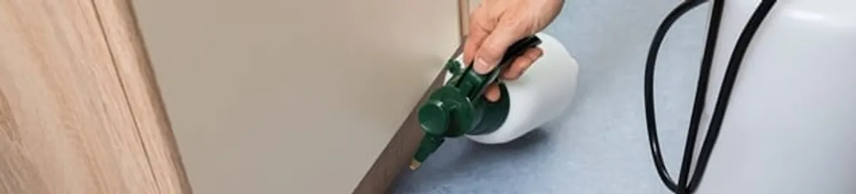 Bed bug exterminator treating baseboards and cracks with targeted spray in Pittsburgh, PA