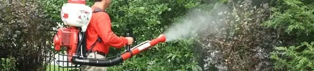 Mosquito control technician fogging shrubs and landscaping for mosquito treatment in Pittsburgh, PA