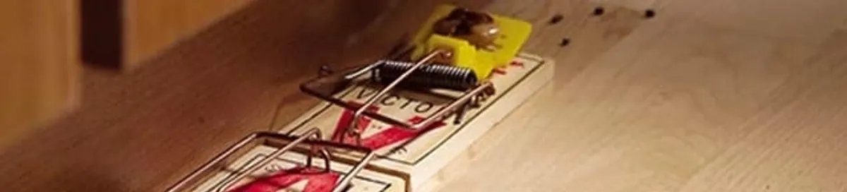 Rodent trap set indoors for rodent control and prevention in Pittsburgh, PA